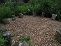 Matthaei Botanical Gardens 2010 0115
